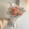 Carnation Bundle